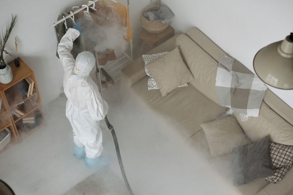 Professional steam cleaning of a residential carpet
